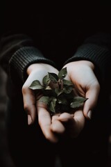 Wall Mural - A person holding a small plant in their hands. Generative AI image.