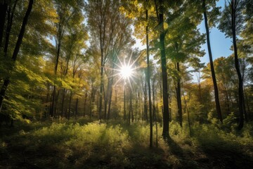 Wall Mural - forest with clear blue sky and sun shining down on the trees, created with generative ai