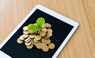 Wall Mural - New plant growing on stack of coins