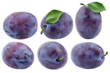Wall Mural - plum isolated on white background, full depth of field