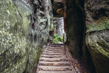 Poster - Stairs in Adrspach-Teplice Rocks national park in Czech Republic