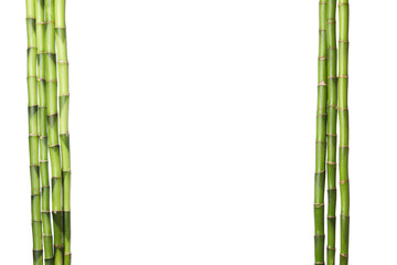 PNG, Concept of plant - bamboo, isolated on white background