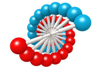 DNA model with blue and red elements