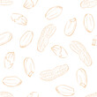 © Sunnydream - Peanuts seamless pattern. Line art vector illustration. Nuts background.