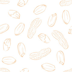 Wall Mural - Peanuts seamless pattern. Line art vector illustration. Nuts background.
