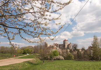 Poster - Tenczyn Castle (castle ruins, fragments of walls) in the village of Rudno, near Krakow in Poland