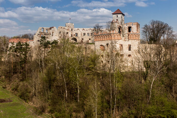 Canvas Print - Tenczyn Castle - the ruins of a castle located in the Jura Krakowsko-Częstochowska, Poland