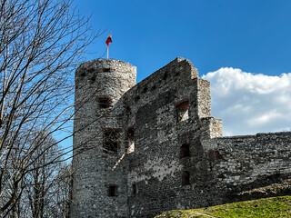 Canvas Print - Closing in the gate to the Tanczyn Castle (castle ruins, fragments of walls) in the village of Rudno, near Krakow in Poland.