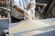 Closeup hands worker holds grain for production of white flour in automated modern mill for bread