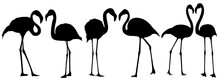 Set Vector Collections Black Flamingo Birds Silhouette Animal Icon Illustration