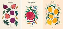 Vector Fruit Collection In  Hand Drawn Style. Hand-drawn Collection Of Fruits For Prints, Cards, Textile.. Fruits For Interior Posters. Pomegranate, Figs And Lemons
