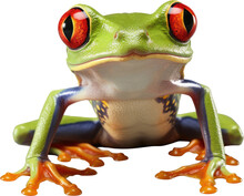 A Green Exotic Red-eyed Tree Frog From The Tropical Jungle Isolated On White Background As Transparent PNG, Generative AI Animal