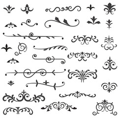 Wall Mural - Vector graphic elements for design, Swirl elements decorative illustration