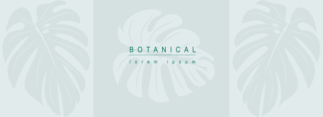 Poster - Botanical abstract background with floral line art design. Horizontal web banner in minimal style with green leaves of monstera, silhouettes of tropical jungle plant foliage. Vector illustration.
