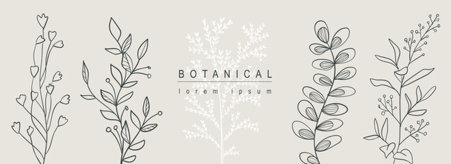 Poster - Botanical abstract background with floral line art design. Horizontal web banner with composition of silhouette contours shapes collection with herbs, grass, twigs and leaves. Vector illustration.