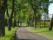 Malownicza droga przez pola i zieleń w okolicach Skoczowa