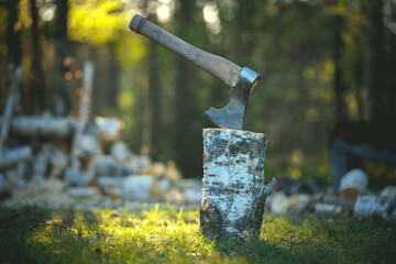 Wall Mural - An axe with a wooden handle is stuck into a log.Chop wood. Stock up on firewood for the winter. A woodcutter's axe in the sunset rays of the sun in the forest.