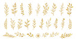 Gold branch leaf element set. Hand drawn sketch doodle golden leaves floral element for wedding background, elegant design. Vector illustration.