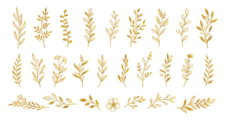 gold branch leaf element set. hand drawn sketch doodle golden leaves floral element for wedding back
