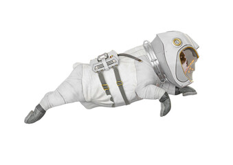 Wall Mural - bulldog astronaut is jumping and flying