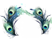 Exquisite Peacock Feathers Forming A Frame Border, Copyspace, Generative Ai