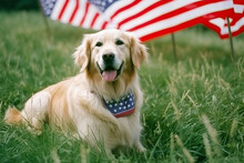 A Dog Sitting In The Grass With An American Flag In The Background