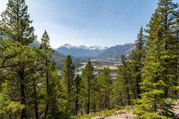 beautiful view of mountains and trees from the tunnel mountain trail in banff canada
