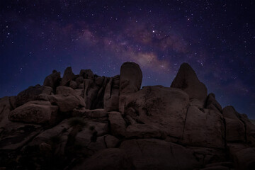 Wall Mural - starry sky and milky way galaxy at night in Joshua Tree National Park Mojave,  USA