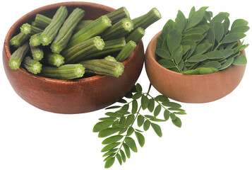 Sticker - Edible moringa with fresh leaves