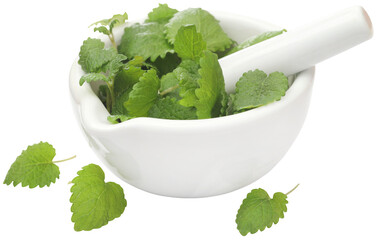 Poster - Lemon balm