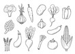 © Elenglush - Collection of drawing vegetables in doodle style. A set of vector illustrations of the harvest corn potatoes carrots radishes beets garlic onions tomatoes, etc.