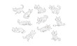 © karo - 長毛猫のペン画スケッチイラスト