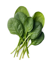 Bundle Of Fresh Spinach Isolated On Transparent And White Background, Top View. Png Transparent.