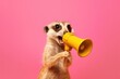 a meerkat using a yellow megaphone