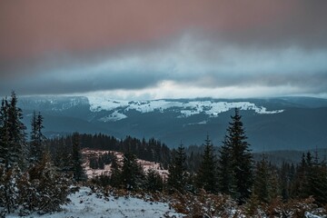 Sticker - Picturesque sunrise captured against a backdrop of majestic mountains, with evergreen trees