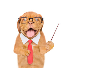 Wall Mural - Smart Mastiff puppy wearing  eyeglasses and necktie points away on empty space. isolated on white background