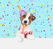 Jack russell terrier puppy wearing a party cap blows into party horn and holds gift box above empty white banner