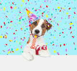 Fototapeta Kawa jest smaczna - Jack russell terrier puppy wearing a party cap blows into party horn and holds gift box above empty white banner