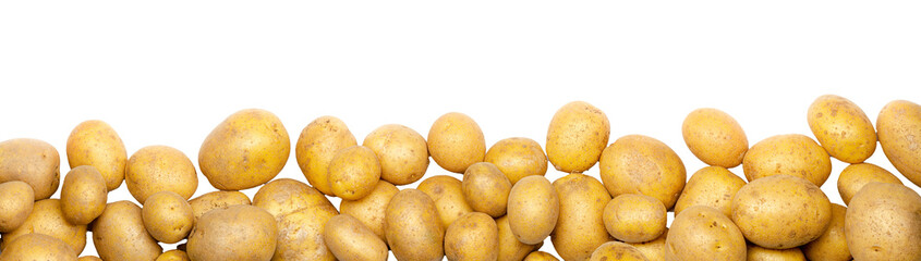 a heap of potatoes as banner, border, headline, header or panorama, isolated on transparent backgrou