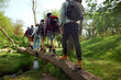 © master1305 - Group of young people, friends walking in forest, going hiking on warm sunny day,m walking on big fallen tree over river. Concept of active lifestyle, nature, sport and hobby, friendship