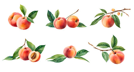 Wall Mural - Set of watercolour peaches. Generative Ai