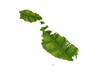 Poster - Illustration of a green leaf in a shape of a map isolated on the white background