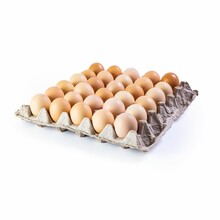 Brown Chicken Eggs In The Packaging Isolated On White Background