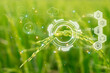 © NongEngEng - Smart farm digital icon and futuristic AI data infographic of Landscape nature of rice field on rice paddy green color lush growing is a agriculture in asia