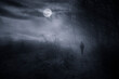 man walking on dark path in moon light at night