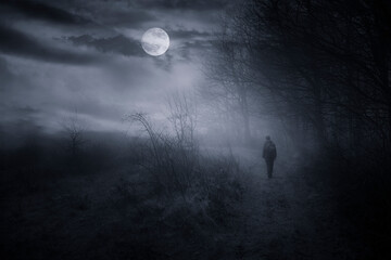 Wall Mural - man walking on dark path in moon light at night