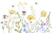 Watercolor Border With Multicolor Wildflowers. Summer Illustration.