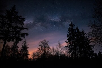 Wall Mural - nebulae and stars in a night sky, with a silhouette of trees in the foreground, created with generat