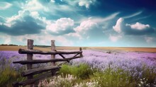 Serene Landscape With Cloudy Blue Sky, Broken Wooden Fence And Field With Lavender Flowers