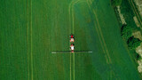 Fototapeta  - Aerial  view of tractor spraying pesticides on wheat  field with sprayer  in spring.